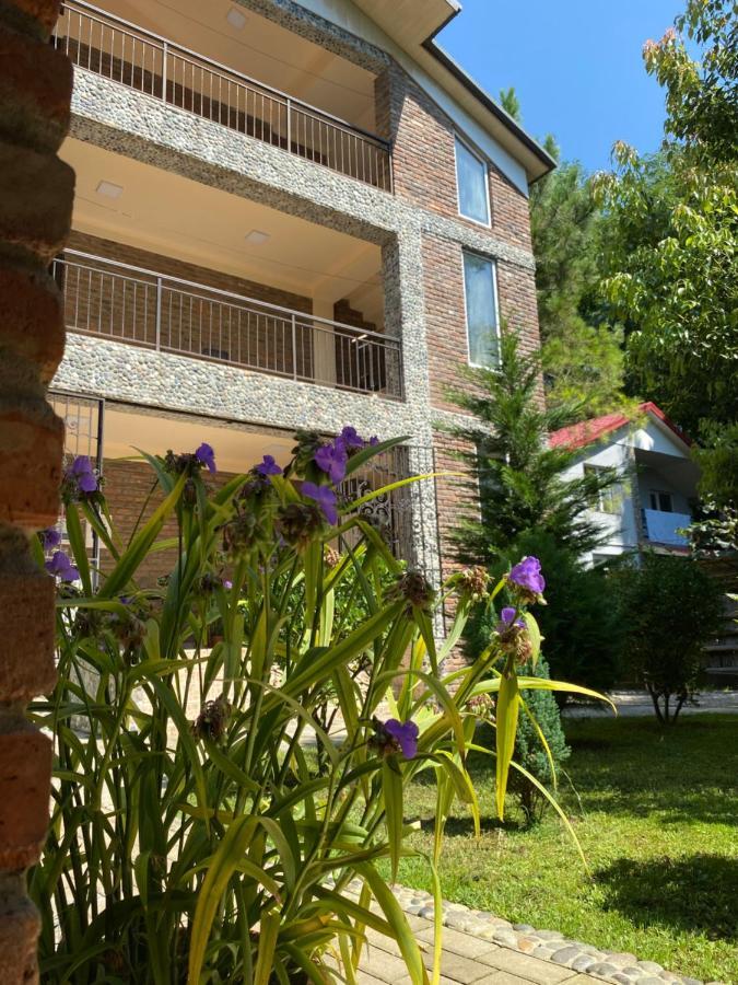 Guest House Shekvetili Exteriér fotografie